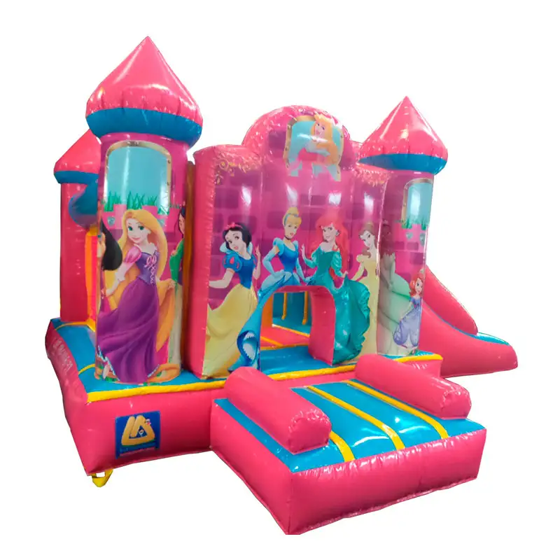 Castillo Pink Princess vista 01