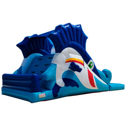 Inflable acuatico Pez vela