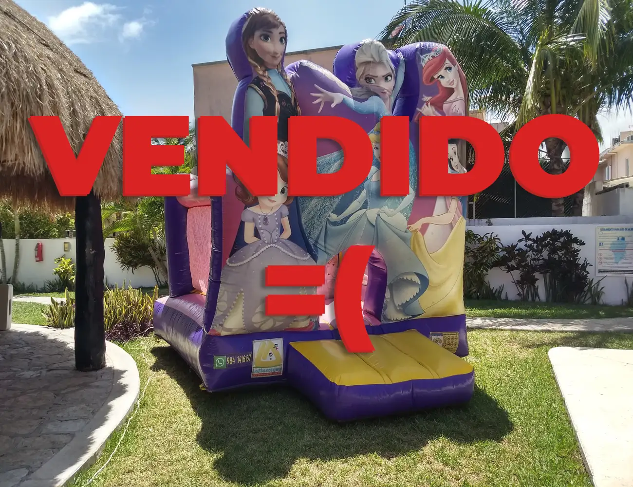 Imagen de Princess Party (Vendido)